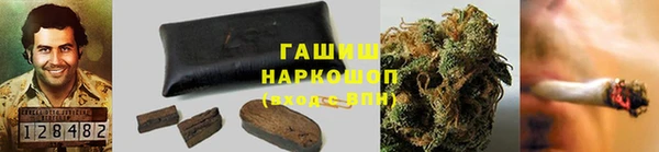 гашик Горняк